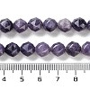 Natural Lepidolite Beads Strands G-NH0021-A07-01-5