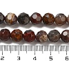 Natural Petrified Wood Beads Strands G-C150-B01-01-5