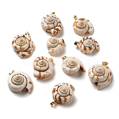 Natural Spiral Shell Pendants SSHEL-H071-05G-1