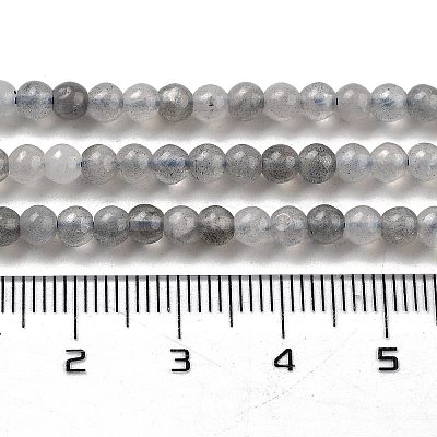 Natural Labradorite Beads Strands G-G140-D02-02-1