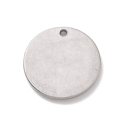 Non-Tarnish 304 Stainless Steel Pendants STAS-E169-05P-1