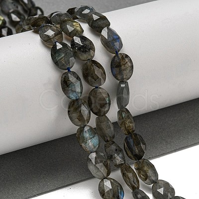 Natural Labradorite Beads Strands G-P544-D06-01-1