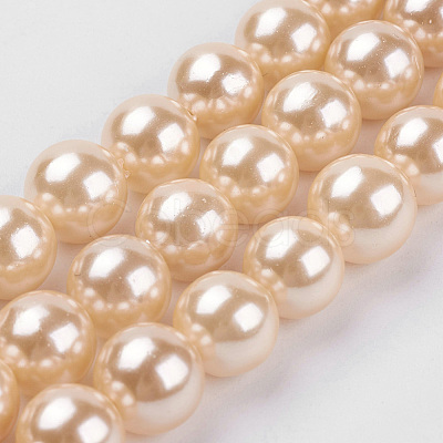 Shell Pearl Beads Strands BSHE-K011-10mm-VA066-1