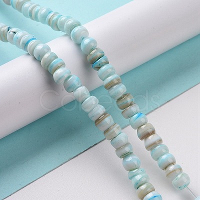 Natural Cultured Freshwater Shell Beads Strands SHEL-F002-01B-1