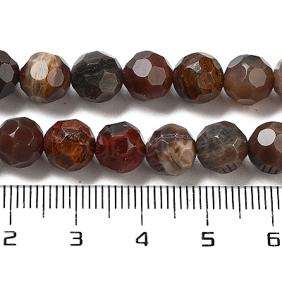 Natural Petrified Wood Beads Strands G-C150-B01-01-1