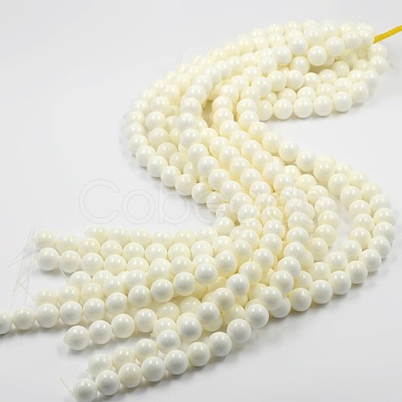 Natural White Shell Beads Strands X-BSHE-E002-02-10mm-1