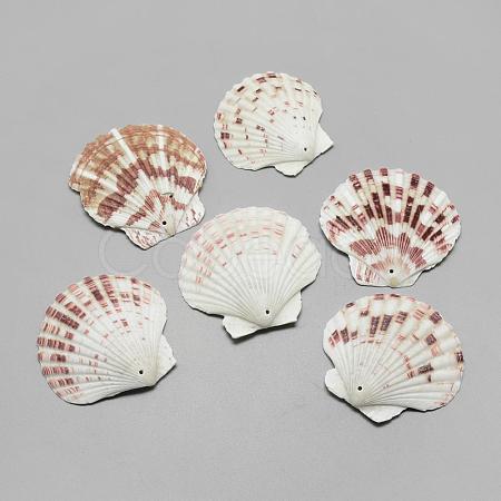 Sea Shell Big Pendants SSHEL-Q299-003-1