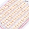 Grade 6A Natural Cultured Freshwater Pearl Beads, Half Drilled, Half Round Beads, White, 5~5.5x4mm, Hole: 1mm