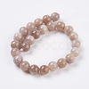 Natural Sunstone Beads Strands G-G099-12mm-14-2