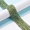 Natural Apatite Beads Strands G-C009-A22-2