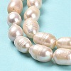 Natural Cultured Freshwater Pearl Beads Strands PEAR-E016-070-4