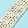 Natural Cultured Freshwater Pearl Beads Strands PEAR-E016-166-2
