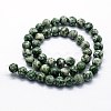 Natural Green Spot Jasper Beads Strands X-G-I199-30-10mm-2