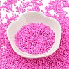 Baking Paint Glass Seed Beads X-SEED-S042-05B-88-2