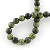Natural Serpentine/Green Lace Stone Round Bead Strands X-G-E334-6mm-14-5