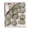 Nuggets Raw Rough Natural Pyrite Collections AJEW-Q152-06-1