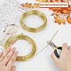DIY Wire Wrapped Jewelry Kits DIY-BC0011-81E-04-5