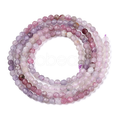 Natural Mixed Gemstone Beads Strands G-D080-A01-03-19-1