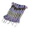 10 Skeins 6-Ply Polyester Embroidery Floss OCOR-K006-A66-1