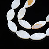 Natural Freshwater Shell Beads Strands SHEL-Q024C-017-2