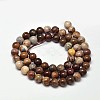 Natural Petrified Wood Round Bead Strands X-G-F266-08-6mm-2