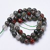 Natural African Bloodstone Beads Strands G-S281-21-8mm-2