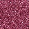 MIYUKI Delica Beads SEED-X0054-DB1338-3