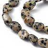 Natural Dalmatian Jasper Beads Strands G-B039-03A-3