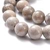 Natural Maifanite/Maifan Stone Beads Strands X-G-I187-8mm-01-8