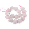 Natural Rose Quartz Beads Strands X-G-S359-342-2