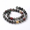 Natural African Bloodstone Beads Strands G-L383-06-10mm-2