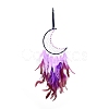Moon Woven Net/Web with Feather Pendant Decoration HJEW-I013-03-2
