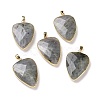 Faceted Natural Labradorite Pendants G-F340-02D-3