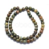 Natural Rhyolite Jasperyc Beads Strands G-K310-C01-6mm-2