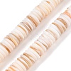 Natural Freshwater Shell Beads Strands SSHEL-T017-02-1