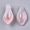 Two Tone Spray Painted Glass Pendants GLAA-N042-001A-D01-2