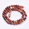 Natural Striped Agate/Banded Agate Beads Strands G-P364-24-6mm-2