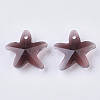 Transparent Glass Charms GLAA-N033-01C-2