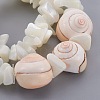 Natural Spiral Shell Beads Stretch Bracelets BJEW-JB03997-2