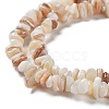 Natural Shell Beads Strands G-F328-45-6