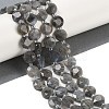 Natural Labradorite Beads Strands G-C116-A46-01-1