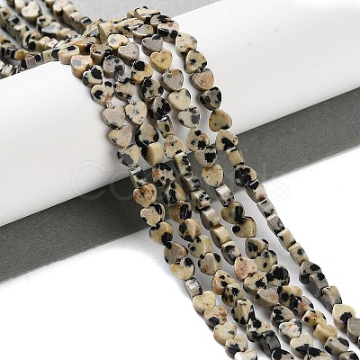 Natural Dalmatian Jasper Beads Strands G-M403-A31-01-1