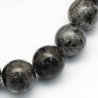 Natural Larvikite Round Beads Strands G-S159-4mm-1