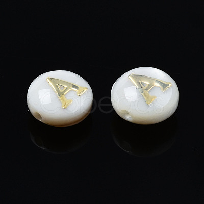 Natural Freshwater Shell Beads SHEL-S278-036-1