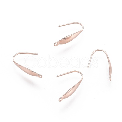 316 Surgical Stainless Steel Earring Hooks X-STAS-P166-10RG-1