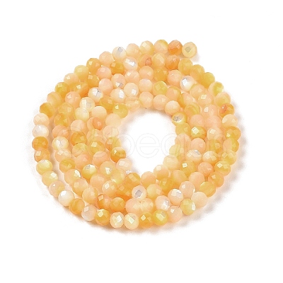 Natural Yellow Shell Beads Strands BSHE-G036-09B-1