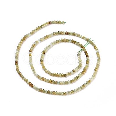 Natural Green Garnet Beads Strands G-C009-A23-1