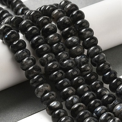 Natural Larvikite Beads Strands G-G102-C03-01-1