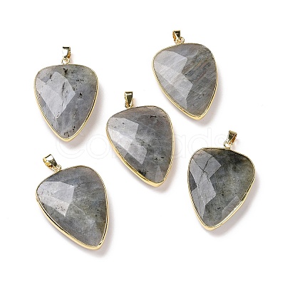 Faceted Natural Labradorite Pendants G-F340-02D-1