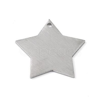 Tarnish Resistant 304 Stainless Steel Pendants STAS-F271-04D-P-1